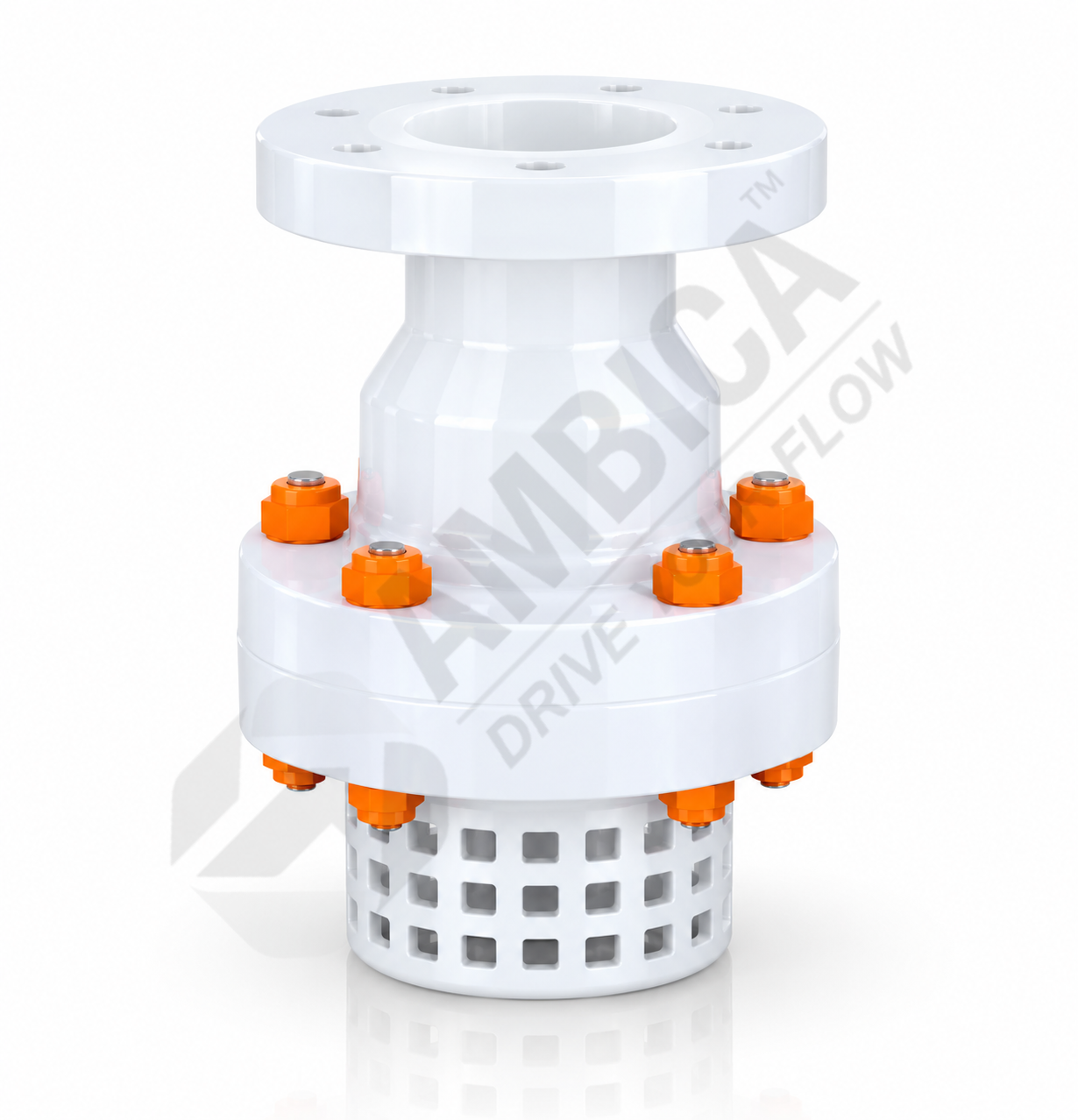 Foot Valves Flanged End