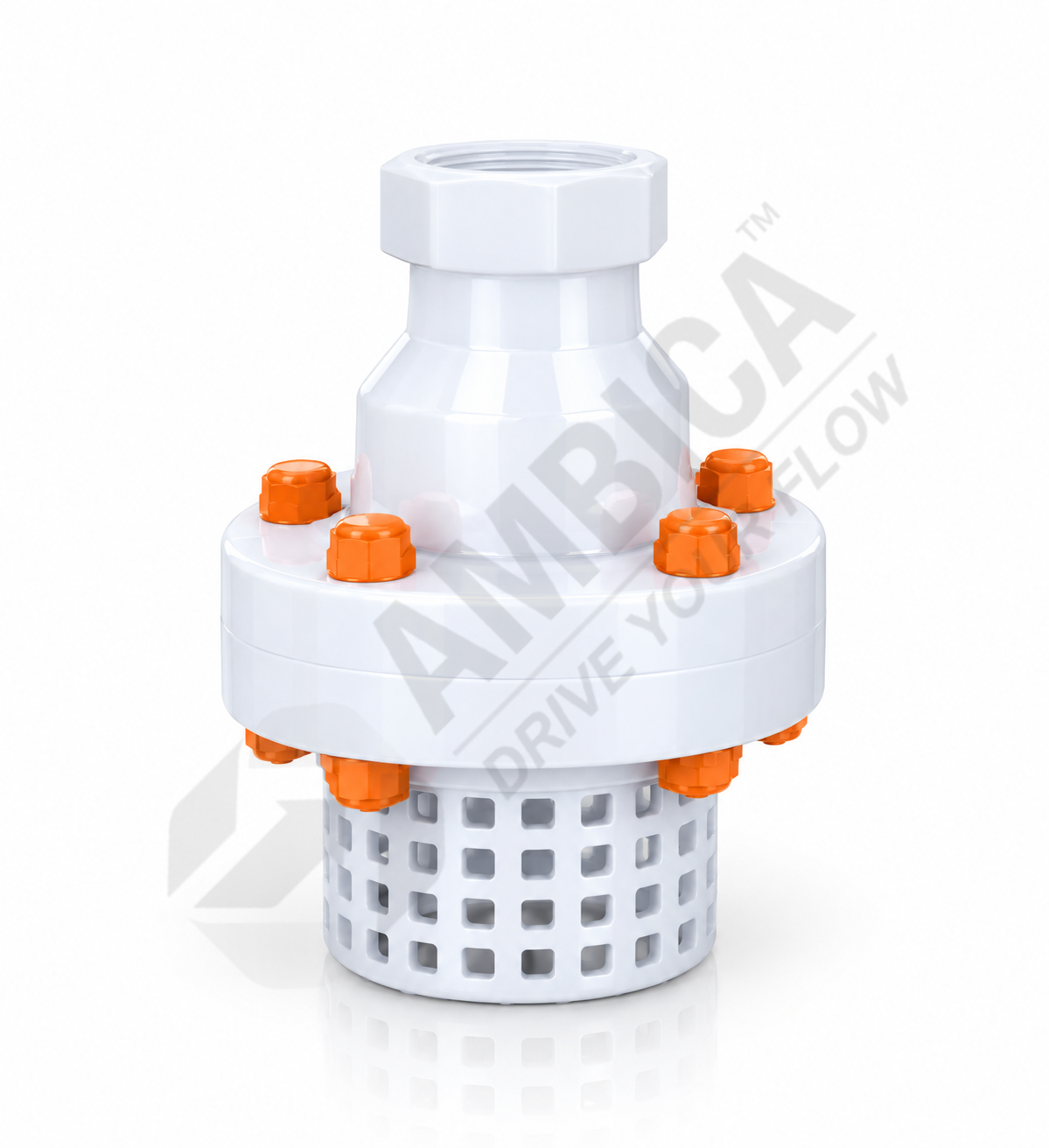 Foot Valves Screw End