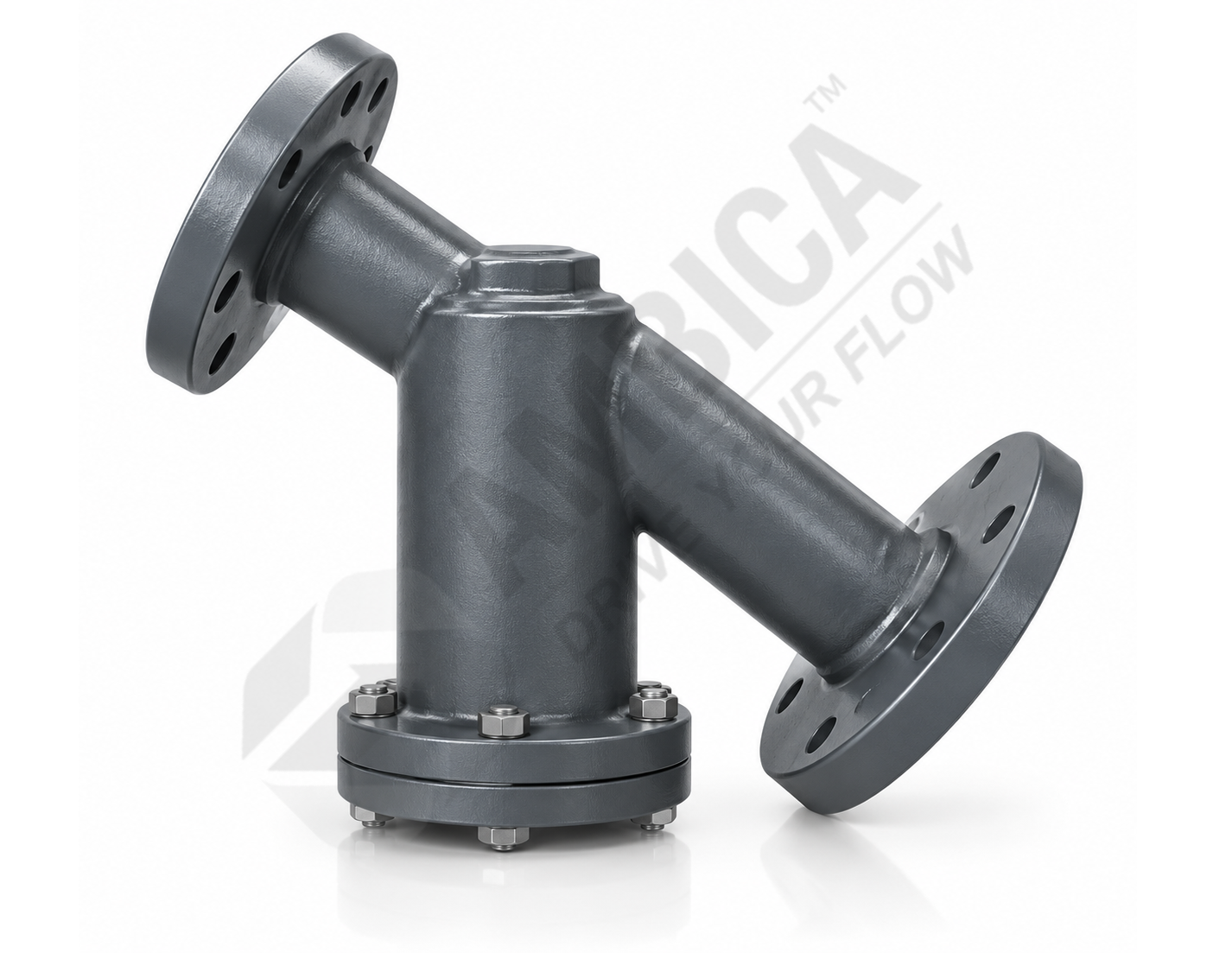 Strainer Y Type Flanged End