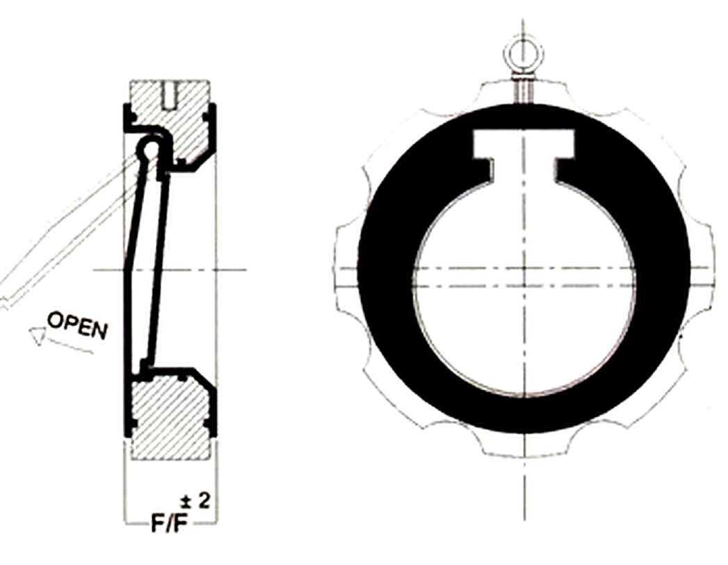 Lined Swing Check Valve (NRV)